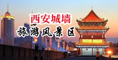 巨屌h人妻中国陕西-西安城墙旅游风景区